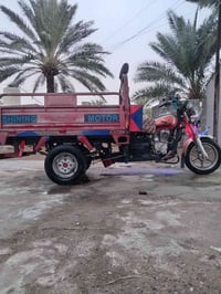 ستوته ام طير 2018 • اوراق كاملة • ديالى كنعان