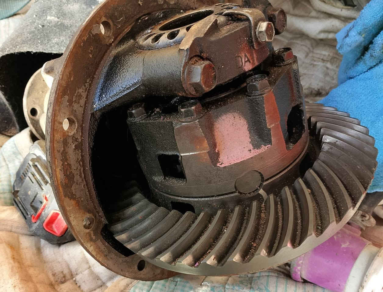 سلام عليكم
اكسل خلفي لاندكروزر جديد
سعره ٣ورقات ونص عنواني بغداد الحسينيه مال راشديه ***********
