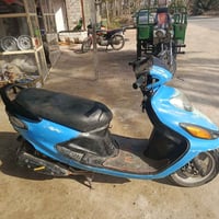 دولفين • الشامية