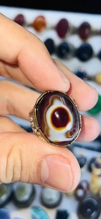 سليماني • معطف • تواصل خاص