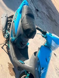 ماكس عدله • فول • كفاله عامه