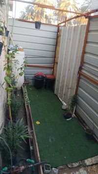 ساتر باب جينكو • ٢×٣ ونص متر • الشبانات