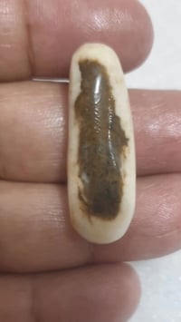 حجر العطف • جلب العطف • أصلي عراقي