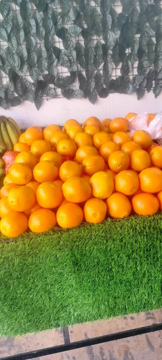 أرخص الأسعار في داقوق حصرا 👍 يوجد توصيل مجاني داخل داقوق حصرا بمناسبة شهر رمضان المبارك


**إذا كنت صاحب هذا الإعلان وتريد حذفه لأي سبب، رجاءا أرسل رسالة إلى الدعم الفني**