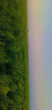 أرض زراعية • ٥٠ دونم • النجف الرحبة