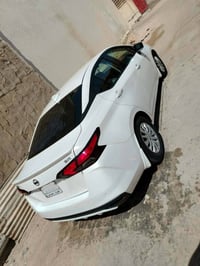 فريسا • ٢٠٢١ • تقرير غرق