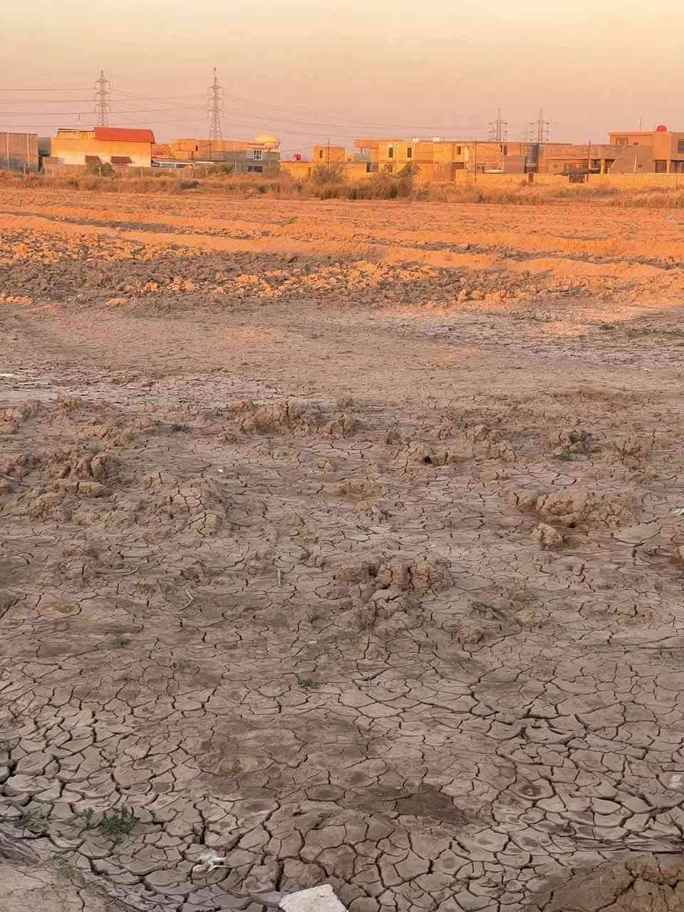 عرصه زراعي يم البو صالح خلف حي الجامعه مساحه 300متر واجه 10نزال 30متر *********** 
0
