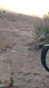 أرض 17دونم ملك صرف المنطقه الرضوانيه معمل زينب قرب دولي الخط سريع ع طا...