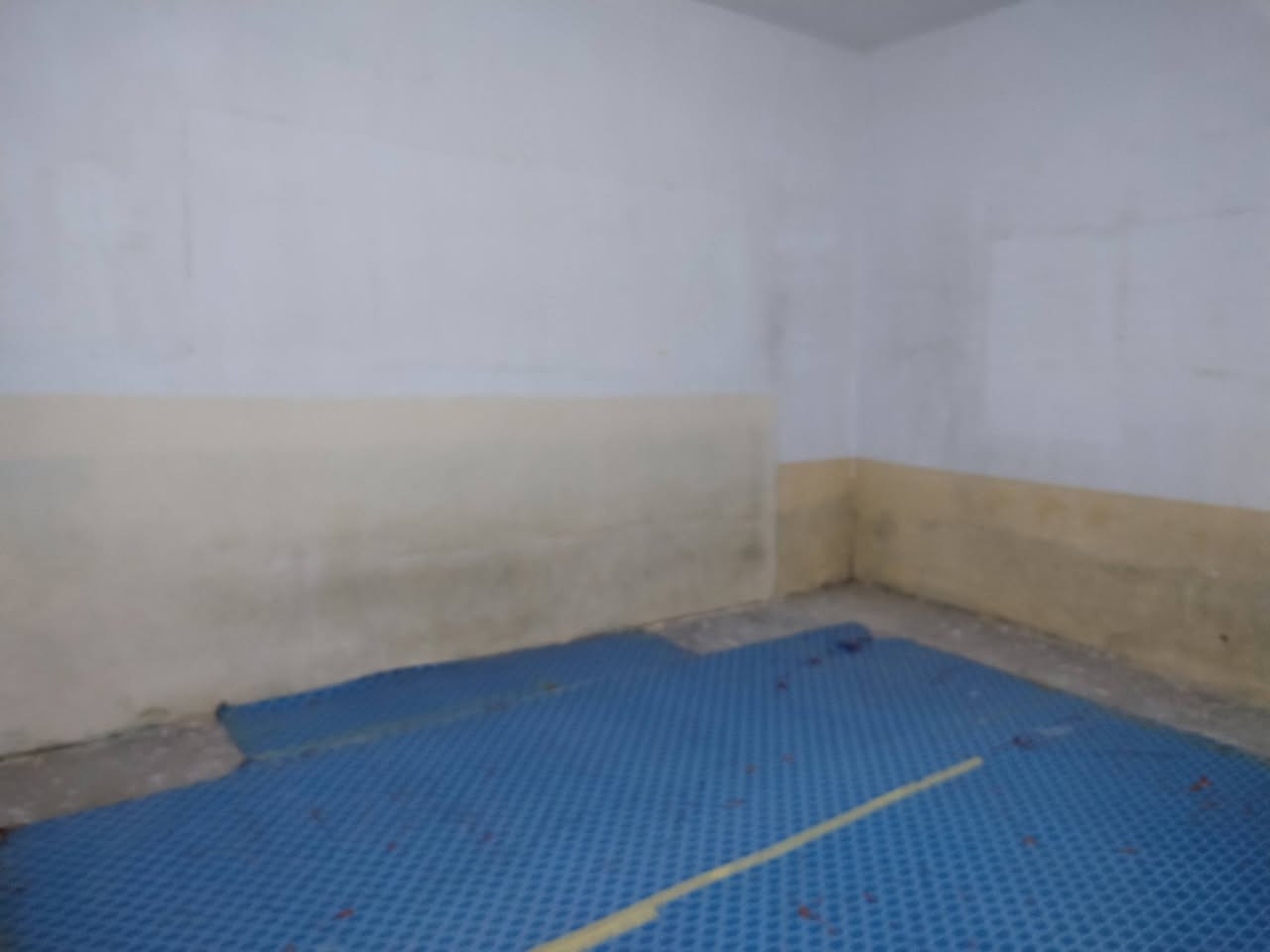 يوجد بيت للبيع المساحة 100 م في حي الأمن الداخلي مطلوب مبادرة يباع بتطلوعة تسديدة الشهري 416الف بناء عگادة يحتوي على محل و3غرف نوم استقبال مطبخ صالة صحيات داخلية وخارجية الطابق الثاني سندويج شارع 10م قرب مدرسة السلامة التطلوعة 50وبيها مجال
للأستفسار الأتصال على الرقم
***********
