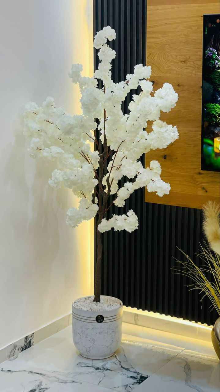 🌸🔥 وصل الجديد… شجر اللوز الاصطناعي الفخم 🔥🌸
حوّل أي زاوية ببيتك لتحفة فنية فاخرة 😍
شجر لوز أبيض بطول 175 سم، أوراقه وزهره كثيفين وكأنهم طبيعيين بالضبط 🌿✨

🪴 القاعدة؟ قوار بورسلان فاخر مع حصى أبيض بيعطيه لمسة رقي وأناقة من الآخر!
💡 لا سقي، لا صيانة، لا وجع راس… بس منظر فخم طول السنة 🌸

✅ مثالي للصالة، زاوية الاستقبال، أو حتى المكتب
✅ موديلين مميزين، كل واحد إله جماله الخاص
✅ الكمية محدودة – احجز شجرتك قبل ما تخلص

خلي بيتك يحكي عن ذوقك الراقي… وأول ما يدخل الضيف رح ينبهر 💛✨

توصيل لجميع مدن الضفة و القدس و الداخل 🛵 עראבה, Z


**إذا كنت صاحب هذا الإعلان وتريد حذفه لأي سبب، رجاءا أرسل رسالة إلى الدعم الفني**