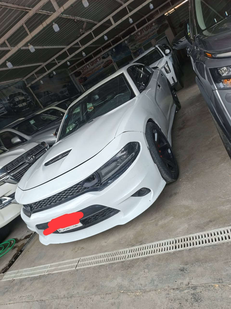 للبيع 2019 الاستفسار الرقم***********
