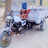 ستوته • موديل ١٤ • سيددخيل