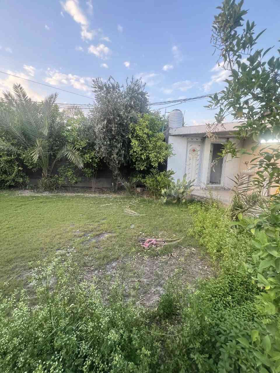 ‏للبيع 
بيت عدد 2زراعي سند 25 تحويل ب إسم المشتري مباشر 🏠
مساحة 1150 متر 
(يوجود بيت +مشتمل )🏠🏠
سنة البناء 2010
البناء طابوق +صب كونكريت مسلح 🏠🏠
الواجها 26متر🏠
النزال 45متر 🏠
يتكون  البيت( استقبال +صالة+مطبخ +غرف نوم عدد 2+صحيات داخلية وخارجية ) 🏠
وايضاً يتكون المشتمل (استقبال+صالة+غرفة نوم)🏠🏠
الموقع:قضاء المحاويل /ملحق حي  العسكري 

تتوفر فيه جميع الخدمات السكن 🏕

باقي التفاصيل موضحه في مقطع فيديو والصور 🌿🌿
🌿🌿
#للإستفسار اكثر او معرفة السعر يرجى مراسلتنا او  الاتصال على الارقام التاليه 
***********/  *********** ابواسد
