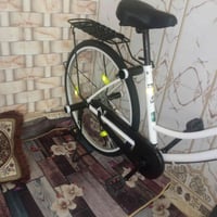 موديل ٢٤ • بالكرتون • قابل للتفاوض