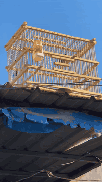 طيره بدراويه ابيه. هواي بيها لسانات خشانه ونظافه مكاني مدينه الصدر 077...