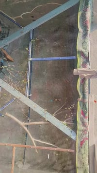 واجيه طول 5 ورتفاع متر ونص سعر 30 وبيه مجال بكامي العريفيه شارع ابو مر...