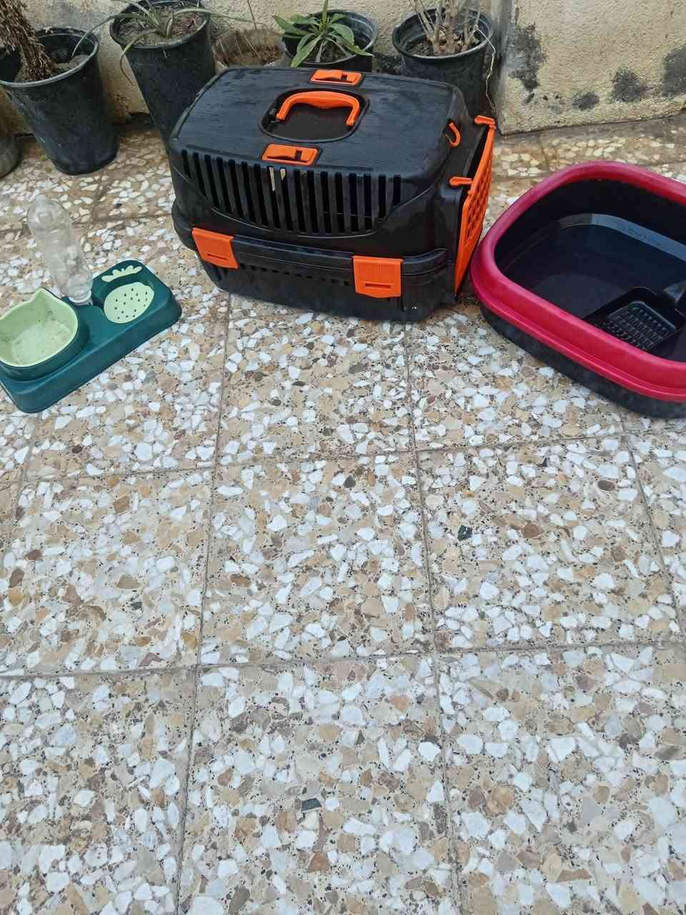 سلام عليكم معدات القطه للبيع ١٥ الف مكان كوفه شارع سايلون قرب مدرسه المصتصريه الهليه


**إذا كنت صاحب هذا الإعلان وتريد حذفه لأي سبب، رجاءا أرسل رسالة إلى الدعم الفني**