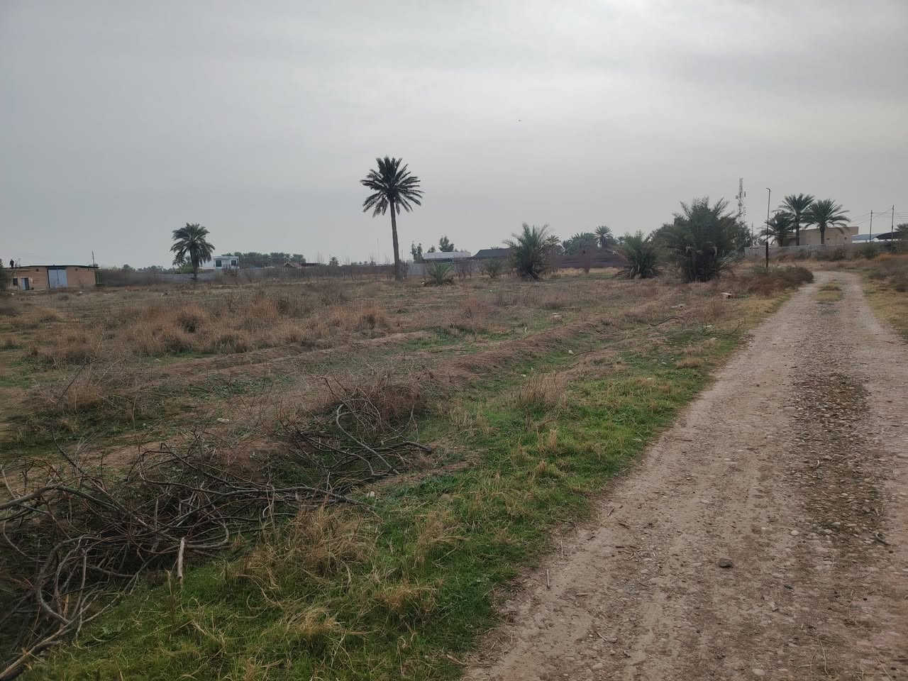 سلام عليكم
أرض زراعيه للبيع ركن
الموقع صلاح الدين قضاء بلد مدخل ٢
تفاصيل أرض
جنس عقار ملك زراعي سند ٢٥
المساحه دونم
الواجهه ٢٦ متر
النزال ٩٧ متر 
خدمات ماء كهرباء
للاستفسار الاتصال على الأرقام التاليه
***********
***********
او مراجعة مكتب التمار للعقار الواقع شارع المحطه محلات الحاج عدنان
