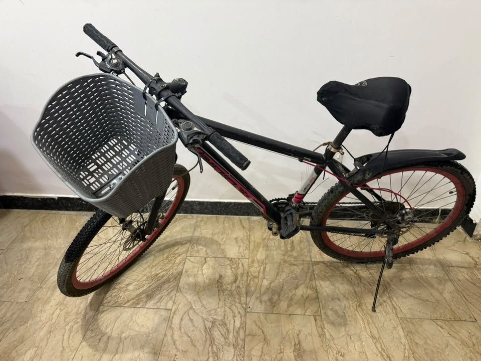 السلام عليكم حبايب
بايسكل ياباني حجم 26 ماركة CENTRINO باله مو
صيني
مواصفات مبدل سرعات shimano3نمر اماميه و 7 نمر
خلفيه
البريكات نظام دسك مو فحمات
بريكات جديده
تايرات جديده +جوب جديد
مقعد طبي اضافه الى السرج
يدات جديده
سله حجم جبير
يعني البايسكل كامل مكمل السعر 75 الف وبي مجال قليل حك الجيه المكان بغداد الاتصال على
***********
