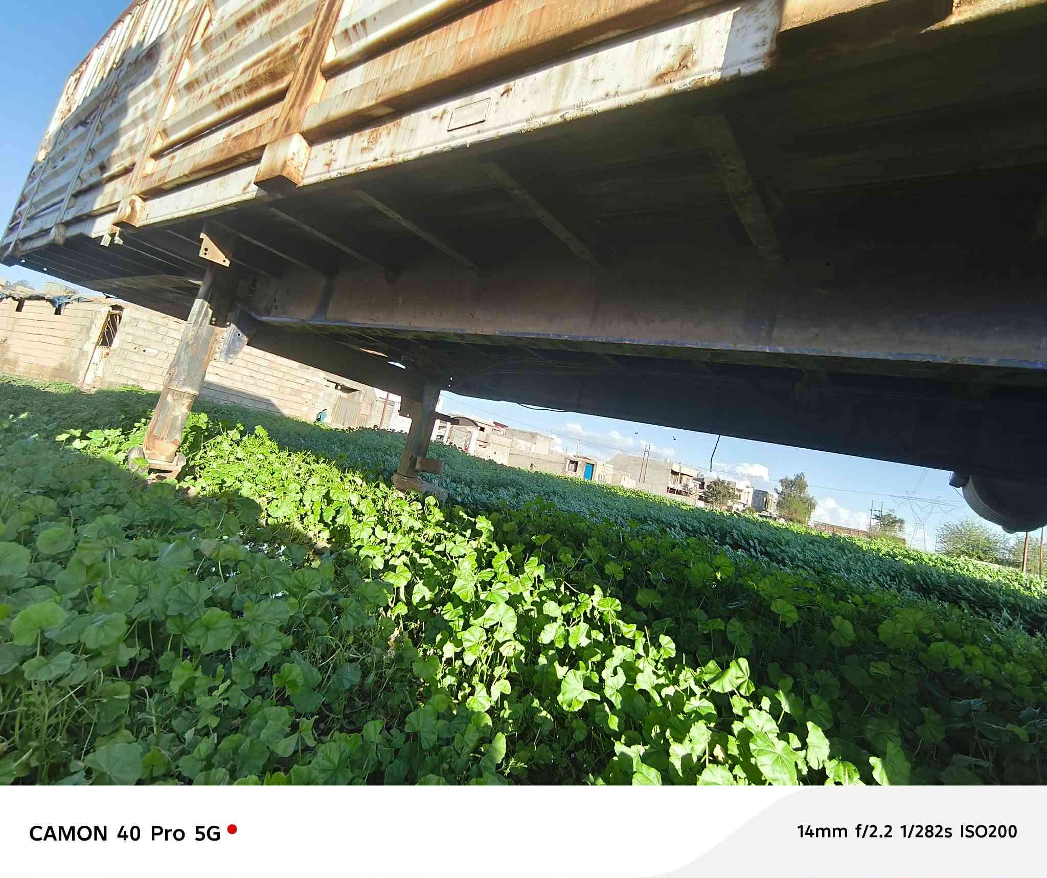 بودي للبيع تخم تاير بالون السعر ٦٠ المكان طوز خرماتو ***********
