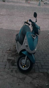 ماكس منغولي • أوراق كاملة • كفالة