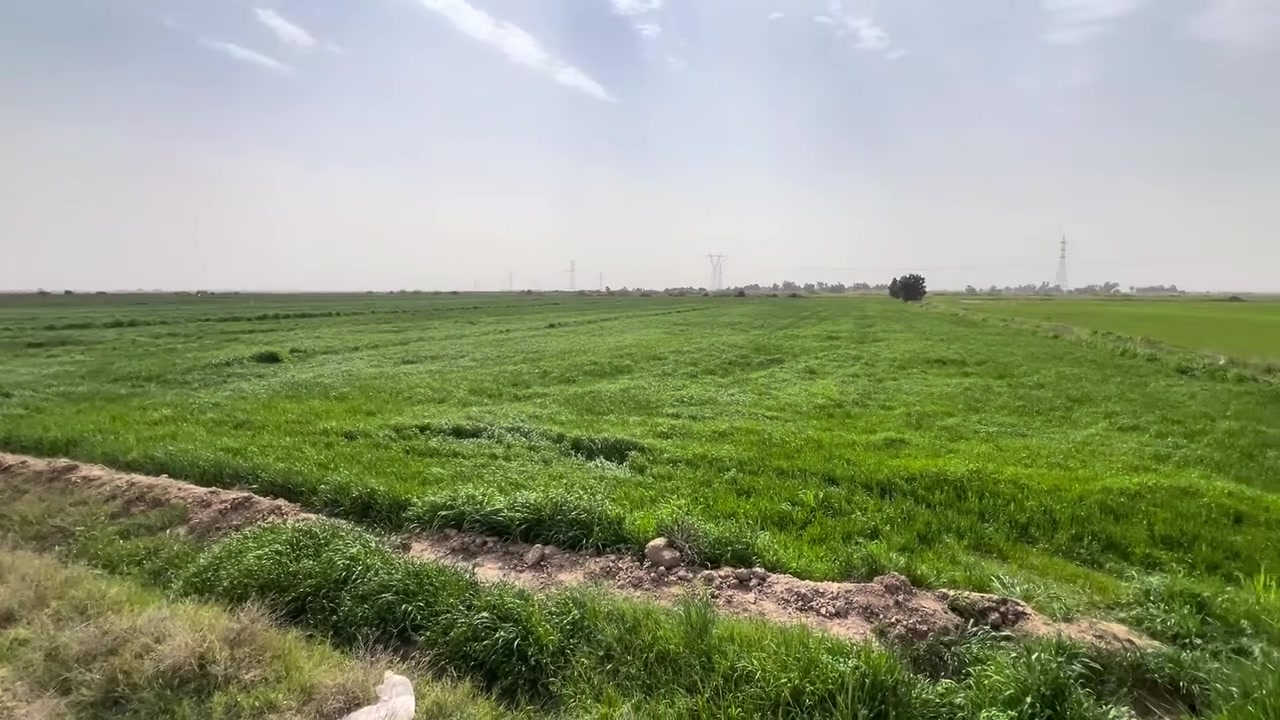 السلام عليكم ارض زراعيه
واسط / منطقه البسروكيه 20دونم عقد 35 الماطور بحلك الكاع متوفر ماء يمها شتاء وصيف مضخه كهربائيه  مثل ماموضح بلصور الاستفسار ع رقم ***********

/***********
