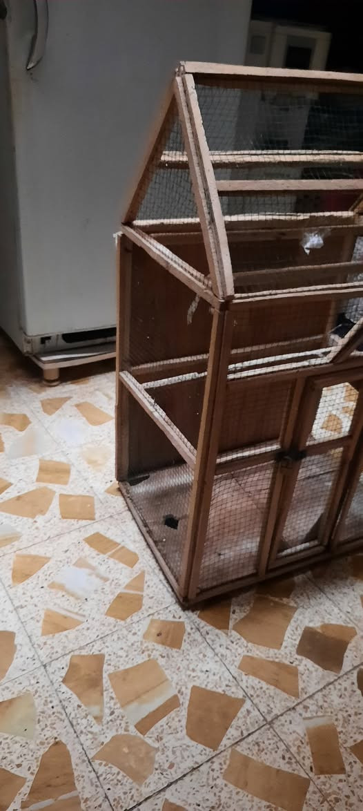 البيع قفص طيور حب السعر 》《35》 عنوان ميسان عماره مغربه اتصل واتساب موجود 《***********》 عمارة, ميسان

