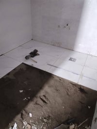 عنوان • موصل ايسر