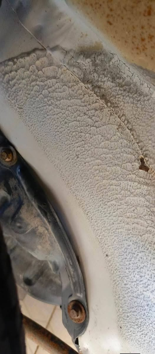 سايبه موديل 2010 مكفوله كفاله عامه عل شركه للبيع مكاني بغداد
‏‪0770 658 6723‬‏
