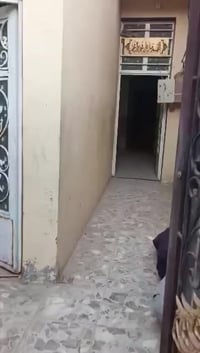 نجف حي النداء • ١٠٠م • غرفة وصالة