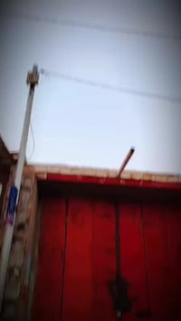 ام زد • ٨١ • بدون سايس