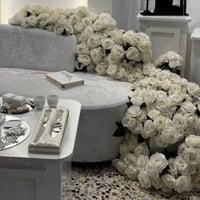 ورد روز ابيض اوف وايت 3 درزن ب100 الف مستعجل عليه 07865558888