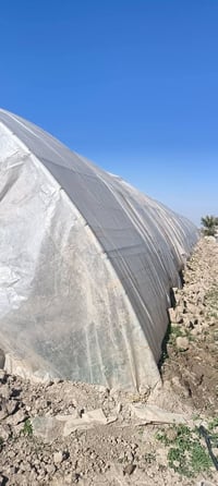 بيت زجاجي البيع (امريكي) الطول (56 متر)  الاستفسار (07870617572)