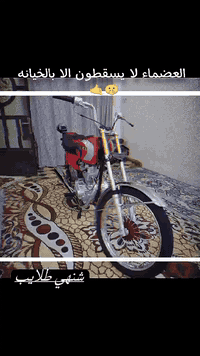 سلام عليكم شباب دراجه نامه شلامجه موديل 2026 معمره من حسين الذهبي ابو لحاويل  معروف لولد دراجه تخبل وعلي  بل عافيه عل ياخذهي سعر 750 وبيهي مجال  مكاني حصوه سكندرايه  ما متواجد فيس  تصال عل رقم ‏‪***********‬ صاحب دراجه تصلو
