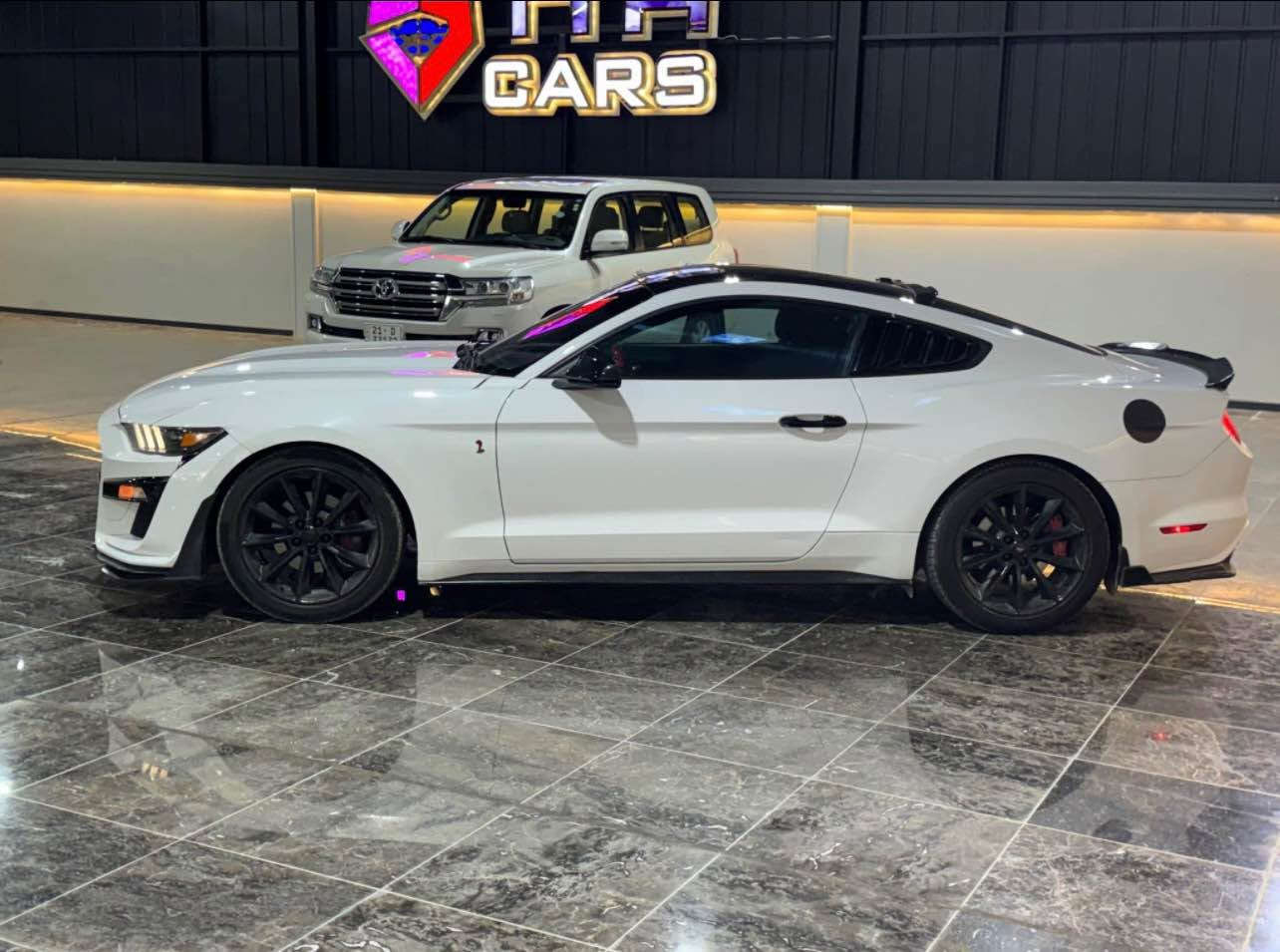 كوردى / عربي
Ford Mustang 2016 ecoboost

١١٥ ميل رۆيشتووه
 هه موو گيانى شه ريكەيه بىێ ده سكارى
بوياخ جەمه له خى سايەق و نوكى بۆنيت بێ ناو گرتن.
 مه كينه ٢.٣ تۆربۆ چارج hp310
گێر ومه كينه به شەرت
زۆر كەم به نزين سه رف ئه كات و زۆر به قوته.
 ئيرباگى سوكان تەقيوه و شەريكەی بو دانراوەتەوه به شەرت
نرخ  ١٣٥$ 
 به ناوى خۆمانە وسەنەوى تا ٢٠٢٨ تازەيه.
 سه ياره كه له سليمانيە

***********
***********
whats app & viber

عربي /
ford mustang 2016 ecoboost
ماشيه ١١٥ مايل
سيارة كل شي بلادي
جامخ سايق صبغ و شوية من بنيد بدون دواخل مكينة ٢.٣ توربو ٣١٠ حصان مكينة و كير بشرط مابي أي خلل
صرفية بنزين كلش قليل و إقتصادي و مكينة كلش قوية سياره بسمى و سنويه جديده لحد ٢٠٢٨
ايرباك ستيرن طاك و راجع بلاديه
سعر ١٣٥ $
مكان السيارة السليمانیة
***********
***********
whats app & viber السليمانية, العراق
