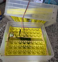 مفقس مستعمل • ٩٠ بيضة • فول أوتوماتيك