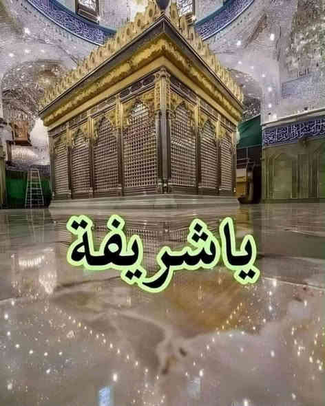 📢ياالله ياالله ياالله ياالله...
( سارعوا بالحجز آخر 7 مقاعد لبرنامج يوم غداً ) 
#اللهم_صلِ_على_محمدٍ_والِ_محمد
#تعلن "حملة ابو رضا للعتبات المقدسة🏴" في المناذرة والنجف والكوفه زيارة الى المراقد المقدسة... (حملتنا للعوائل فقط) 
⚫برنامج يوم السبت المصادف 29/11/2025
◾️زيارة كربلاء المقدسة "ع"
◾️زيارة العلويه شريفة "ع"
◾️زيارة الامام زيد بن علي "ع"
#سعر النفر 10 الف #الانطلاق الساعة 7:00 صباحاً
⚫مكان التجمع:
1⃣ ثورة العشرين قرب فندق زمزم 
2⃣ نفق ميسان نفق المختار 
3⃣ قرب مستشفى ابن ابلال 
( ملاحظه حملتنه عوائل فقط عوائل فقط ) 
"النقل في باصات حديثة  VIP "
للحجز والاستفسار مراسلة الصفحة او الاتصال على الرقم التالي:
#واتساب ***********📞
