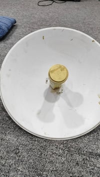 بور بيم • واير ٢٠م • الحر الصغير