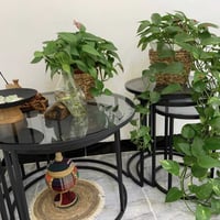 طاولات • ٥ قطع • سارة علي