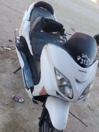 فورزه • بصمه • كفاله