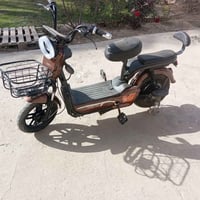 دراجة شحن • جديدة • حلّة قرب الرنه