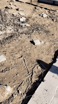 كربلاء المقدسه طويريج ناحيه الرجيبه قاع 250 متر الواجهه 10 والنزال 25 الاتصال على هذا الرقم واتساب***********
