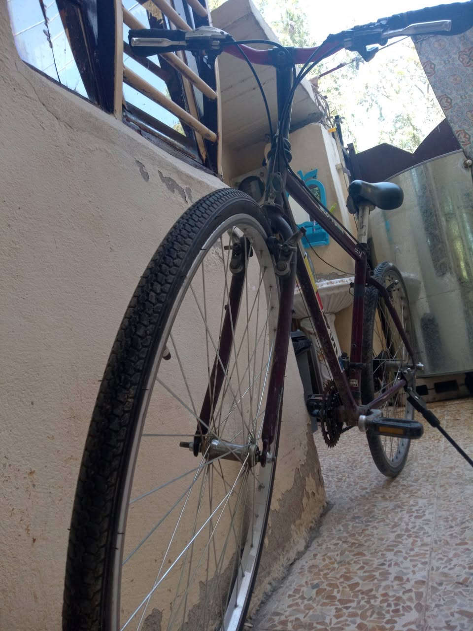 بايسكل🚴‍♀️ مال سباق حجم 26_27  ريشه كير شغال اصطابات وراى وكدام شغله امراوس ببلي ثري او اكس بوكس 360سلم... الخاص مفتوح للجميع


**إذا كنت صاحب هذا الإعلان وتريد حذفه لأي سبب، رجاءا أرسل رسالة إلى الدعم الفني**