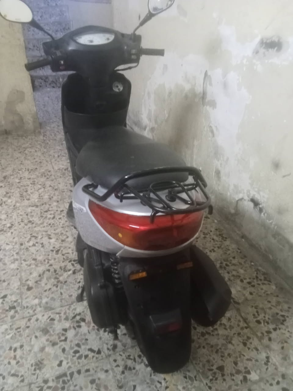 السلام عليكم دراجه فريز ببغاء جاهزه للبيع بغداد المدينه سعرها 750 رقم الهاتف ***********
