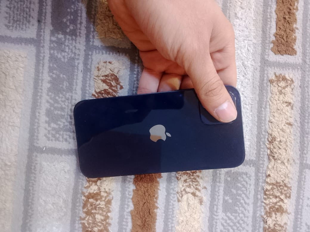 السلام عليكم عندي ايفون ١٢عادي ذاكره ١٢٨ عربي شرق اوسط نموذج m مبدل شاشه وبطاريه اصليات وكاله وفيس ايدي شغال للمراوس حسب القناعه


**إذا كنت صاحب هذا الإعلان وتريد حذفه لأي سبب، رجاءا أرسل رسالة إلى الدعم الفني**