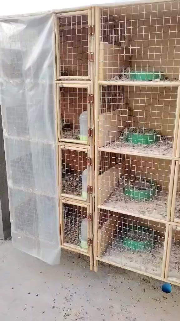 متاح خانات  جدد استعمال  قليل مثل ماواضح بتصوير كاملات  طواره مال مي واكل العدد 9 لوو 10 ام الربعه
عنوان زملت حمدي  ب30 الف الوحده


**إذا كنت صاحب هذا الإعلان وتريد حذفه لأي سبب، رجاءا أرسل رسالة إلى الدعم الفني**