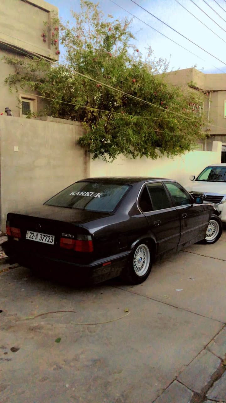 ***********

*********** كركوك, العراق
