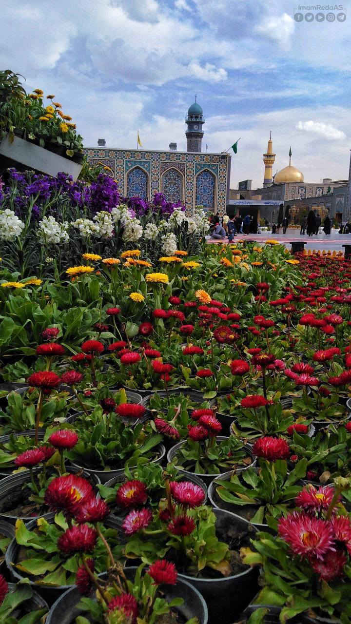 #تحطيم #_الاسعار 
 عطله نصف السنه 
تعلن حمله السيده زينب 
للزياره العتبات المقدسه 
برامج ايران 🇮🇷سياحي ديني 
#رحلتك ويانه هنو احلى   
قم   مشهد.  نيشابور
 
السعر( 220 ) الف عراقي فقط
انتباه انتباه انتباه225 الف 
3وجبات طعام في قم 
3وجبات طعام في مشهد  
تاريخ الرحلات 
  2/2/2026
3/2/2026
4/2/2026       

#باص #vip    #رجال أعمال    25نفر  
#البرنامج 11يوم
#3ليالي قم المقدسه
#4ليالي مشهد المقدسه 
 
برنامج الرحله هي :-
1- قم ( جامع جمكران , الاربعين علوية , بيت النور 
2- مشهد (، قدم الامام الرضا ع , ياسر وناصر باغ مشهد  جبل كوسنجي   

------------------
ملاحظة :- يكون التسكين ثلاثي ورباعي وخماسي 
ومن يرغب بغرفة ثنائيه فرق للشخصين (30الف    ) 
والغرفة السنكل  ( 60الف الف )
جميع برامجنا تشمل
1- الذهاب والعودة من مقر الشركة الى مقر الشركة 🚎
2- جولات سياحيه دينيه 🏝
3- فنادق مميزه وممتازة قريبه على الحرم والاضرحه الشريفة 🏩
4- توفر لكم الشركة مترجم للأمور الطبية والعلاجية  مجانا
ملاحظة : تسليم واستلام الغرف الساعة 12 ضهرا 
 ملاحظة مهمة... عند تسليم المبلغ والجوازات لايحق للمسافر الغاء الحجز  ♕
العنوان /النجف الاشرف قضاء المشخاب   باداره عقيل الإبراهيمي 
الحجز للمحافظاتنا الحبيبه عن طريق زين كاش أو ماستر كارد 
للاتصال ع الأرقام التاليه
*********** اتصال وواتساب@
