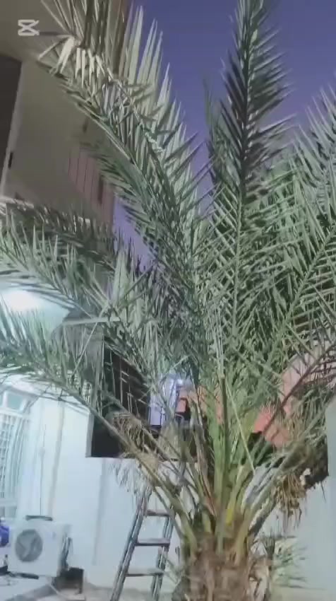 دراجه ماكس البيع بغداد ***********
