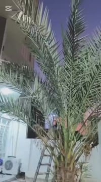 دراجه ماكس البيع بغداد 07715086149